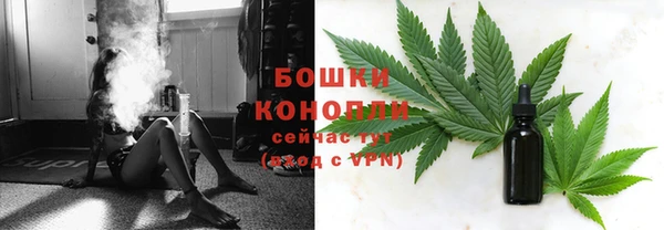 мяу мяу мука Надым