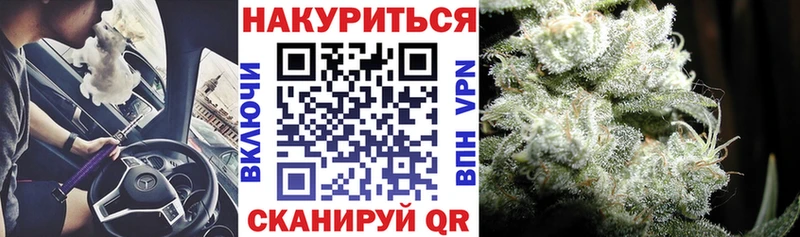 Бошки Шишки план  Солигалич 